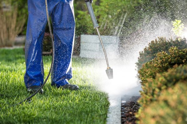 Curb Cleaning in Portland