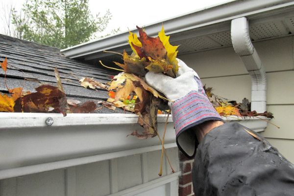 Eaves Cleaning in Portland