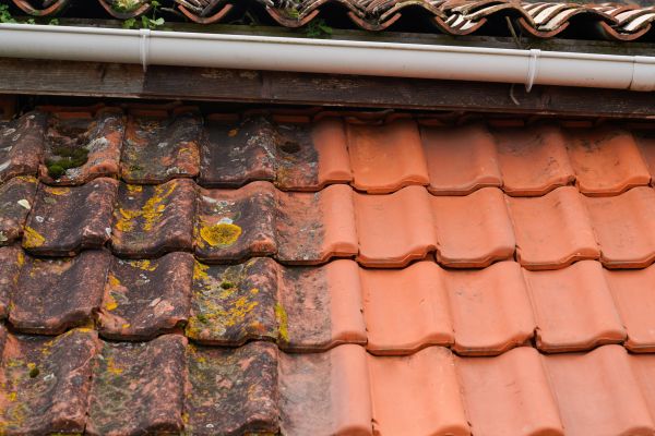 Industrial Roof Cleaning in Portland