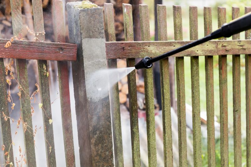 Iron Fence Pressure Washing