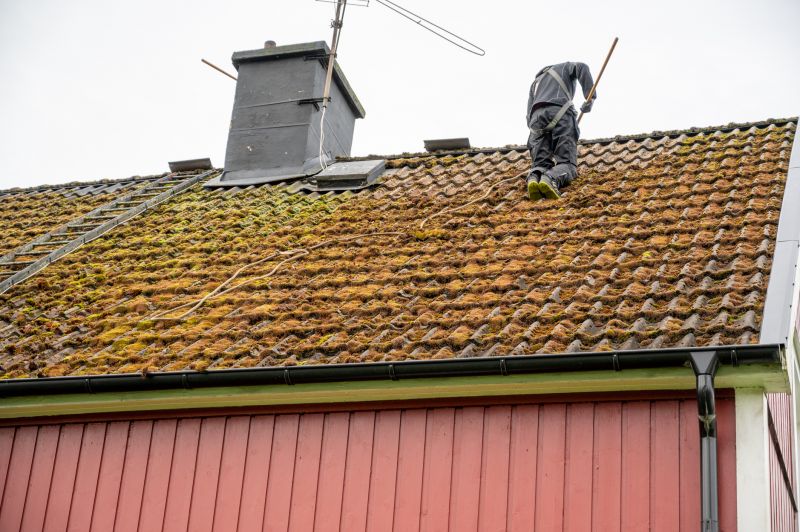 Roof Cleaning Professionals